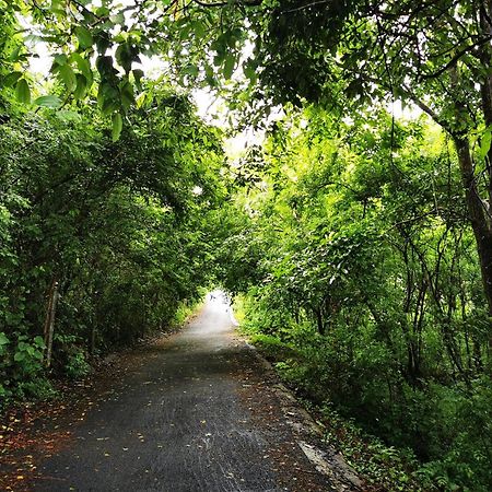 Misty Green Hills Parks & Resorts Kondotty Extérieur photo
