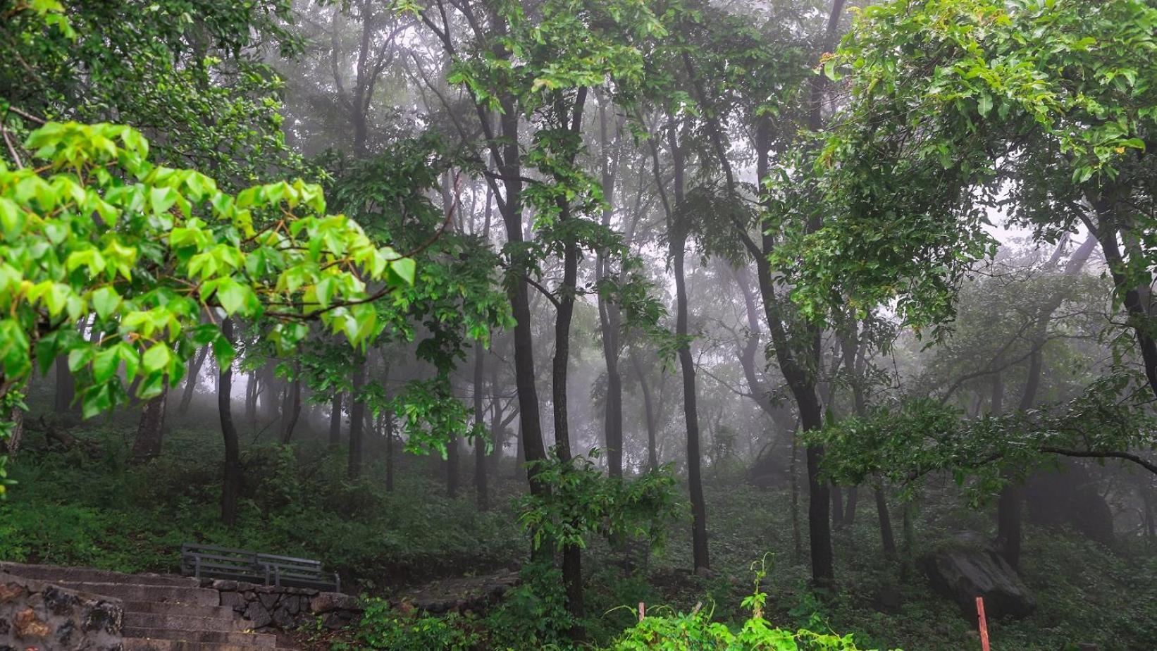 Misty Green Hills Parks & Resorts Kondotty Extérieur photo