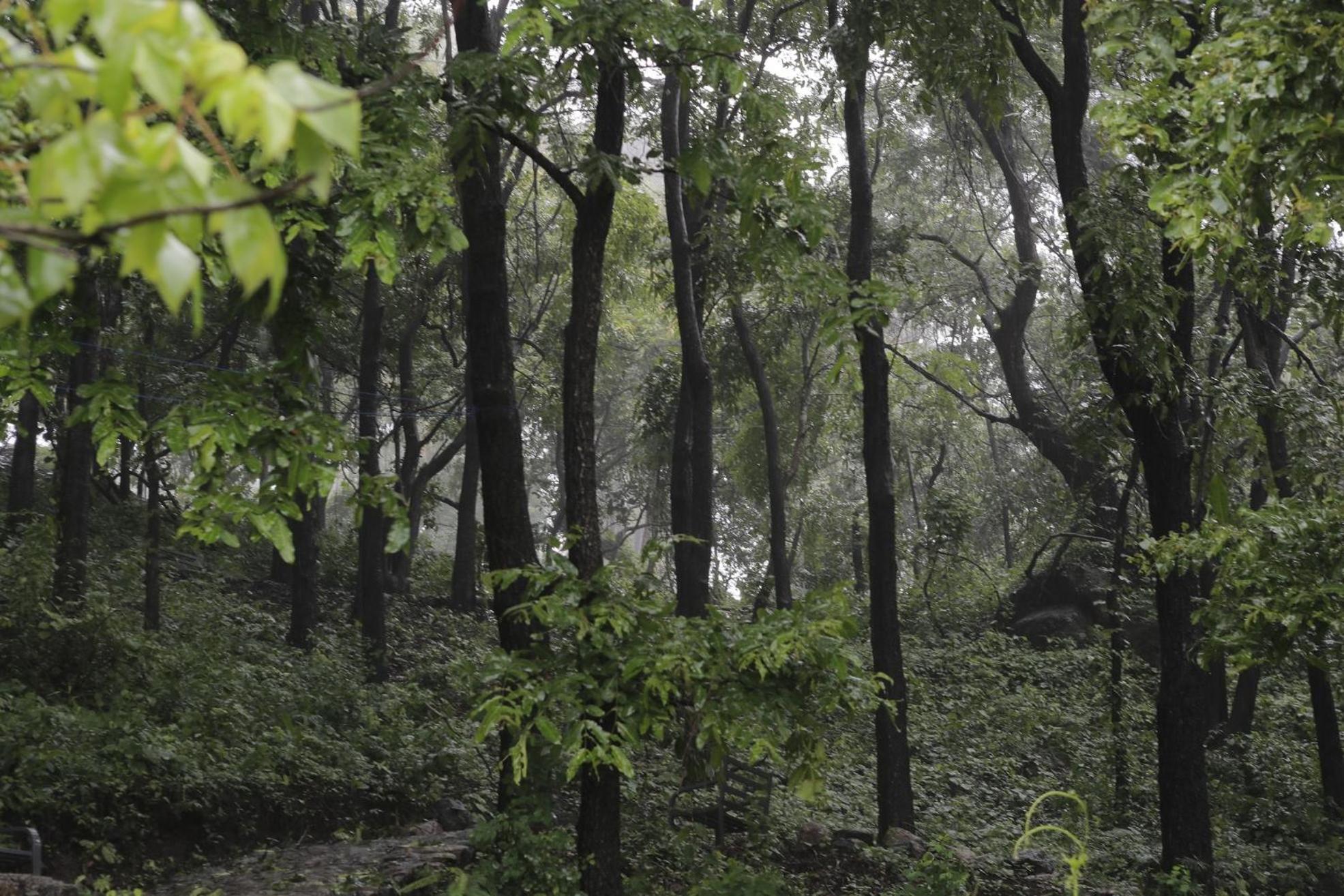 Misty Green Hills Parks & Resorts Kondotty Extérieur photo